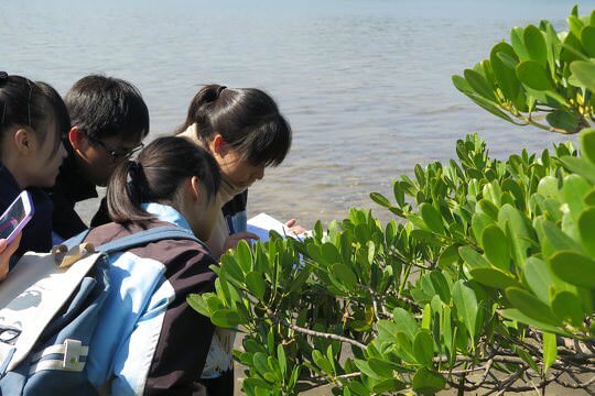 Joint Statement - Mainstream and Strengthen Environmental Education in Hong Kong School Curriculum