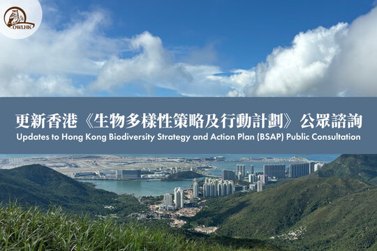 Updates to Hong Kong Biodiversity Strategy and Action Plan (BSAP) – Public Consultation – Our Suggestions
