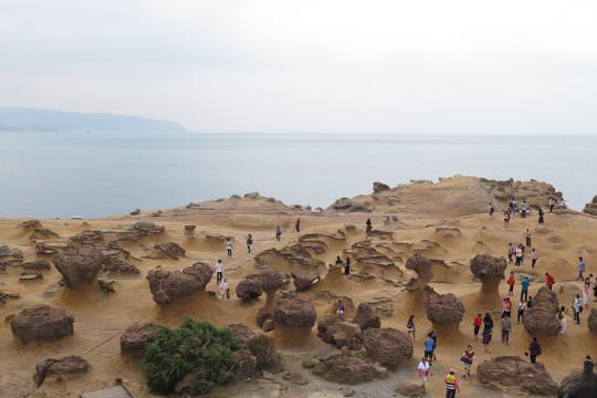 Observing Yeliu Geopark study course