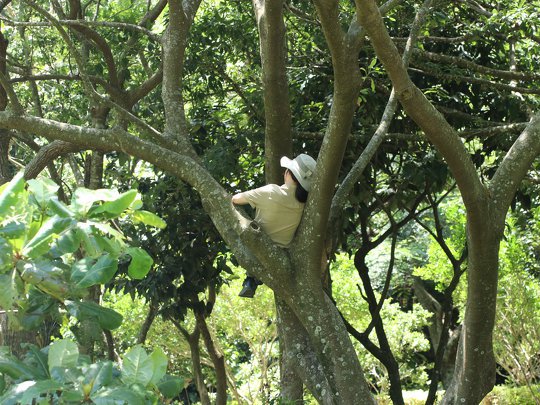 Leaned against the wood, and returned to the nature～