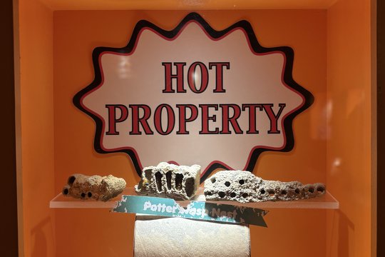 Insect Real Estate Shop