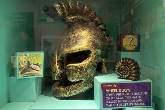 Insect Toy Store