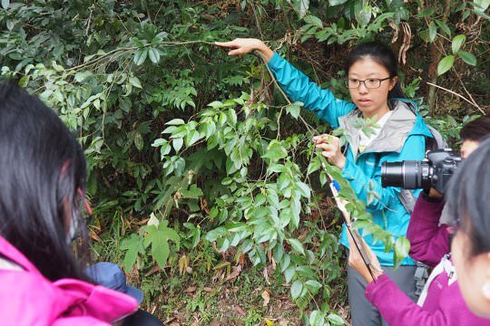 Field trip led by the professional tutor in OWLHK