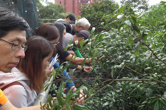 Trainees were examining the plant carefully