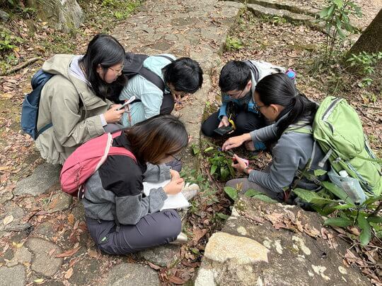 導師教導參加者以葉序、植物生長形態等，辨別不同植物