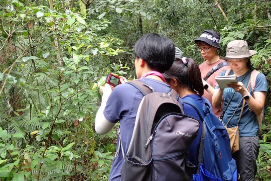 Participants observed Hong Kong wild plants at Tai Po Kau Nature Reserve