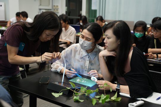Participants examined the structure of the plant specimens under the guidance of tutors