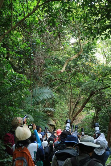 By learning their different charateristics, participants now understood the trick of where to look for specific odonatan species