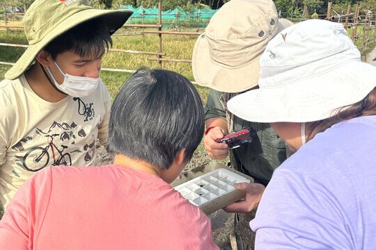 在戶外考察中，參加者近距離觀察水生甲蟲