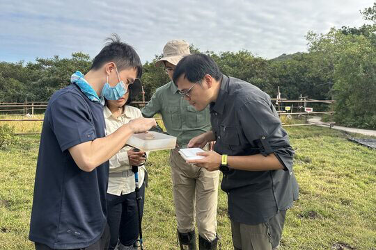 香港水生甲蟲基礎辨識課程