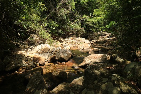 Upper course of freshwater stream