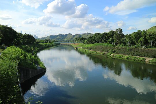 Lower course of freshwater stream