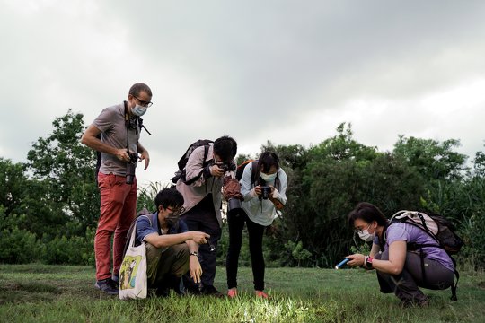 Participants were searching for reptiles and amphibians under instruction of tutors. They were taking photos as a record throughout the trip too.