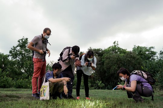 學員們根據導師給予的的提示，嘗試在戶外尋找兩爬物種。過程中，他們不忘拍照作紀錄。