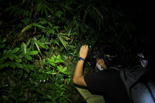 學員正在運用課堂上所教授的觀察技巧去觀察物種。