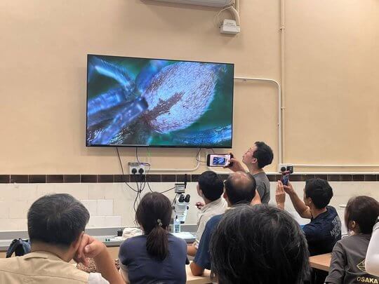 In cohort 4, the course consisted of a microscope observation session, enabling participants to gain a deeper understanding of spiders’ body structure