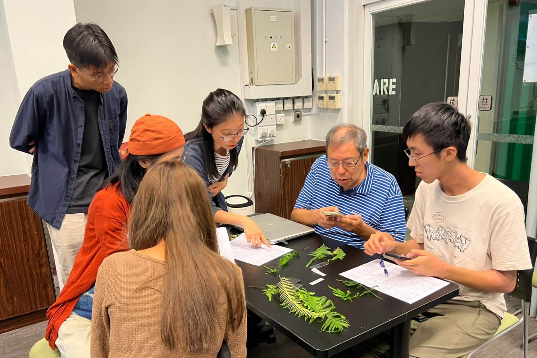 The course consisted of a fern observation session, enabling participants to learn about the fern structure