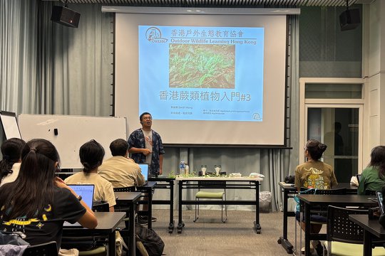 Indoor lectures equipped participants with knowledge about the intriguing fern structure, such as hair and scales, as well as some Hong Kong common fern species