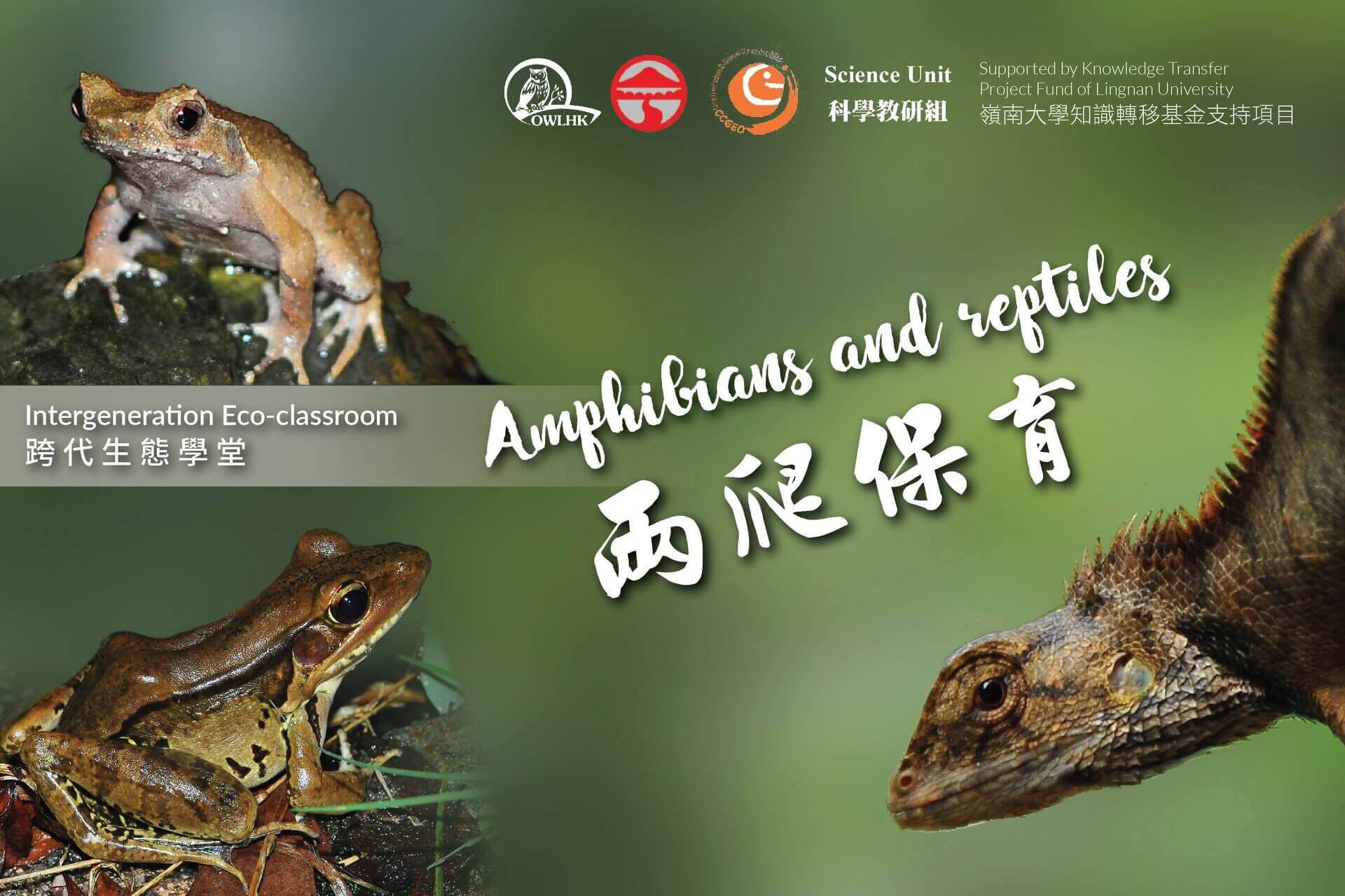 Intergeneration Eco-classroom - Amphibians and Reptiles