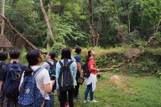 ECF Hong Kong Forest Conservation Ambassador Scheme