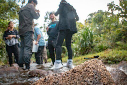 大嶼淡水生態教室