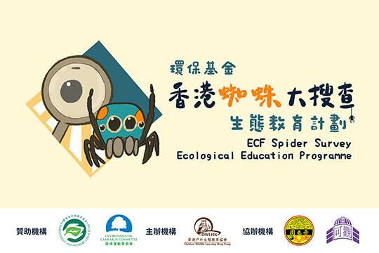 ECF Spider Survey Ecological Education Programme