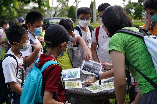 Students learn about Hong Kong’s country park history through interactive games.