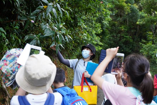 專業導師帶領同學遊歷森林，認識森林住客。