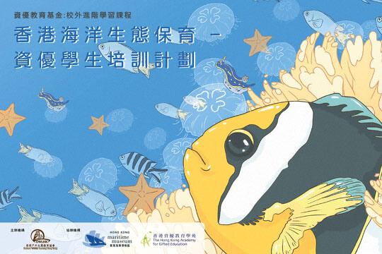 「資優教育基金」：校外進階學習課程香港海洋生態保育 – 資優學生培訓計劃