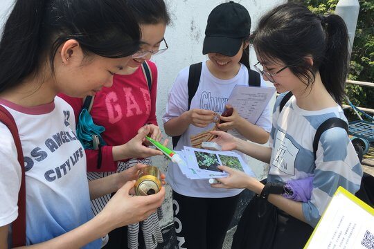 Orienteering Games - Granny’s Secret, A Day in Shui Hau, Guardians of Pui O