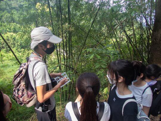 Field trip in Lion's Nature Education Centre and Tai Po Kau Nature Reserve to observe butterflies