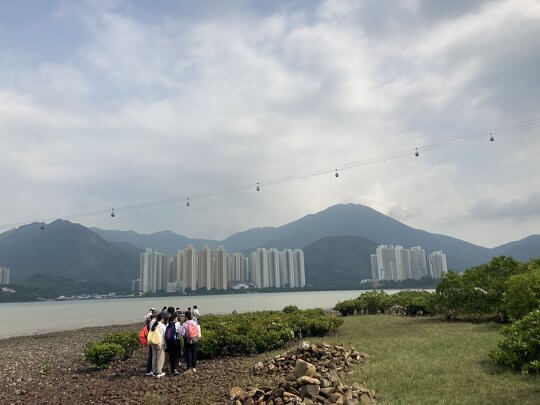 Field trip in Tai Tam and Tung Chung Bay to inspect local coastal wildlife