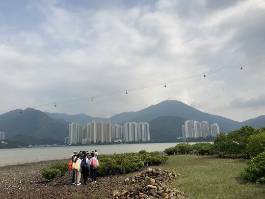 前往大潭及東涌灣進行海岸生態考察