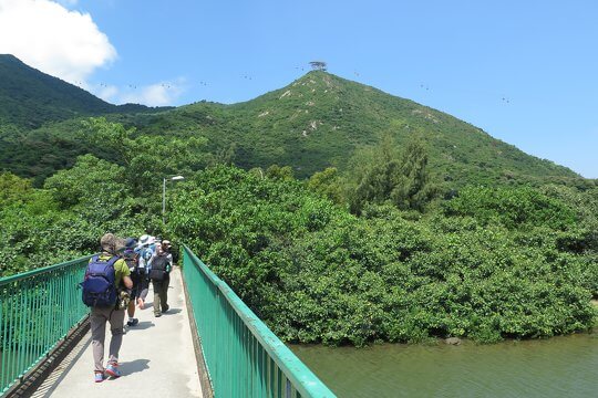 Exploring and observing the biodiversity along the coast in Tung Chung in daytime