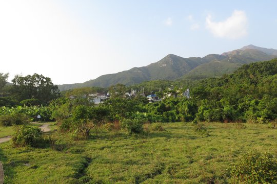 Let’s see how the Shui Hau villagers utilize the indigenous plants