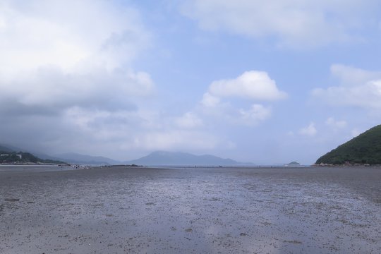 Mudflat in Shui Hau Wan act as an important nursery ground to the intertidal organisms