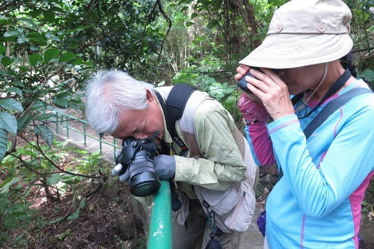 環保基金 「蟲」新發現南大嶼 – 大嶼社區昆蟲及無脊椎類大搜査