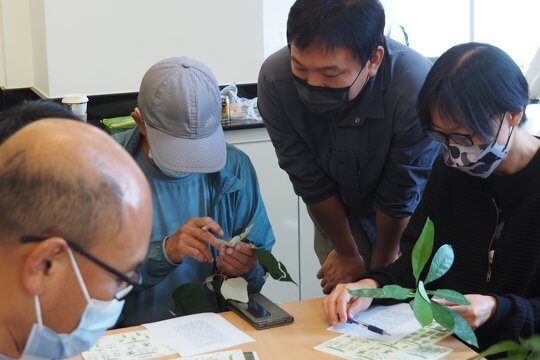 植物標本辨識工作坊