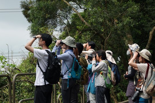 BioBlitz - Birds