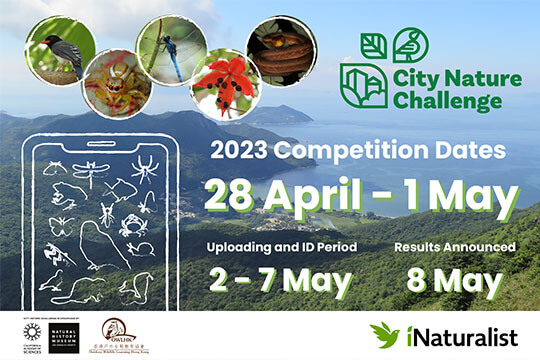 City Nature Challenge 2023