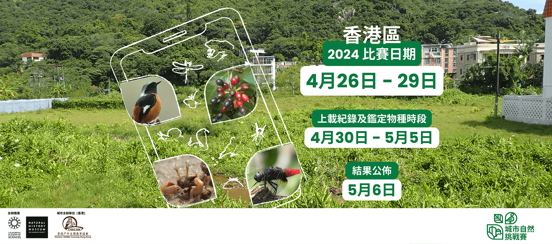 城市自然挑戰賽2024