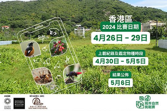 城市自然挑戰賽2024