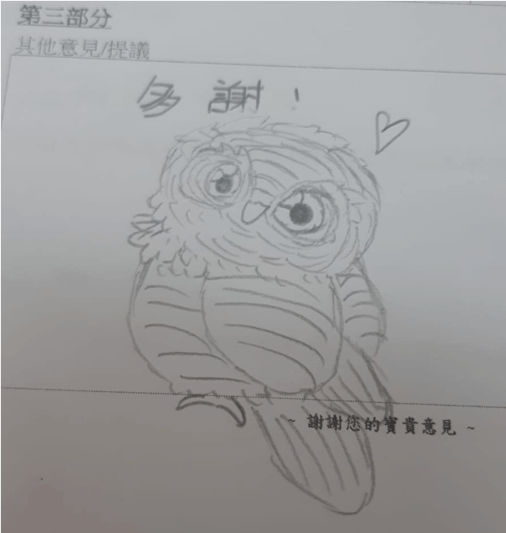 the Asian Barred Owlet that a student drew from the board game