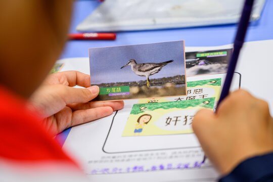 生態小導演為本會原創遊戲，學生需要發揮創造力，為短片編劇