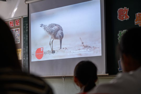 The material is extracted from Hong Kong, so that students can understand their surrounding biodiversity