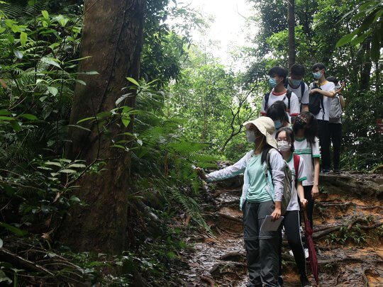 Students divided into small groups having field visit to a local forest.