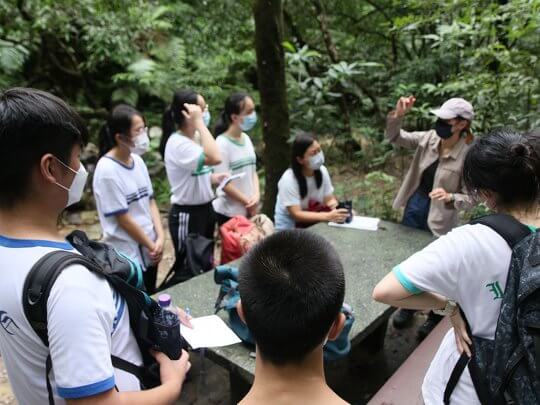 After data collection, the groups conduct on-site data analysis and discussion on forest conservation issues.