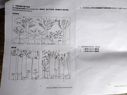 The activity emphasizes both affection and logical learning. Students use drawings to record and compare the forest environment, which is more memorable than written records.