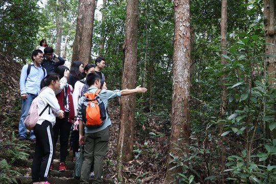 Forest Ecologist