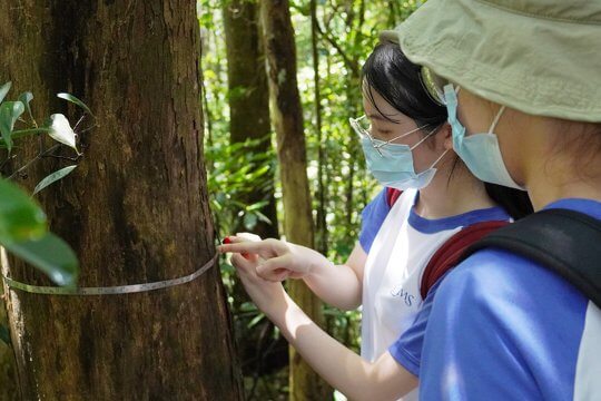 森林生態學家